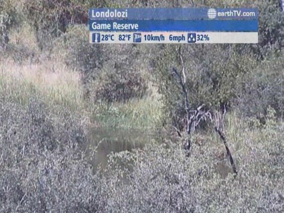 St. Andrews - Canada, Durban - South Africa, St. Anton am Arlberg - Austria, Istanbul - Turkey, Londolozi - South Africa, Udaipur - India, Macau SAR - China