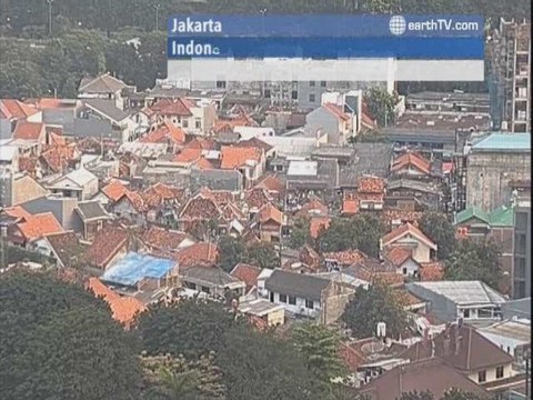 Avignon - France, New York - USA, Londolozi - South Africa, Plettenberg Bay - South Africa, Geneva - Switzerland, Jakarta - Indonesia, Dresden - Germany