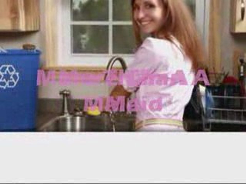 Working With The Cleaning Authority  The Authority in Cle...