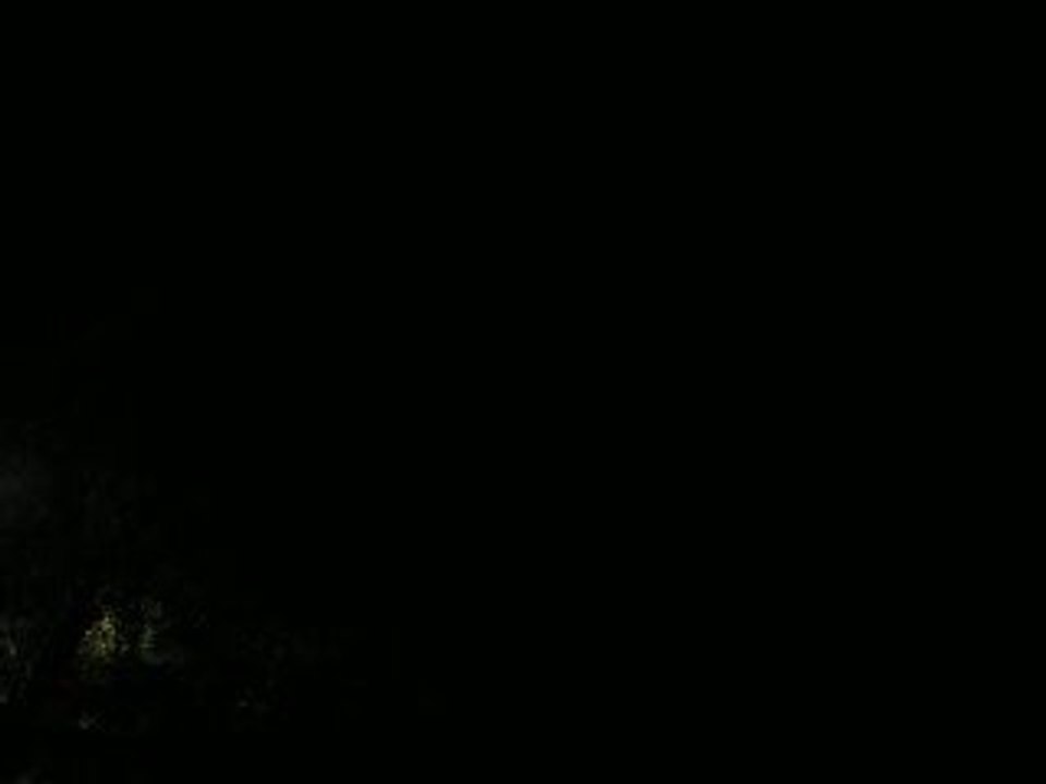 Possum-vs-bat