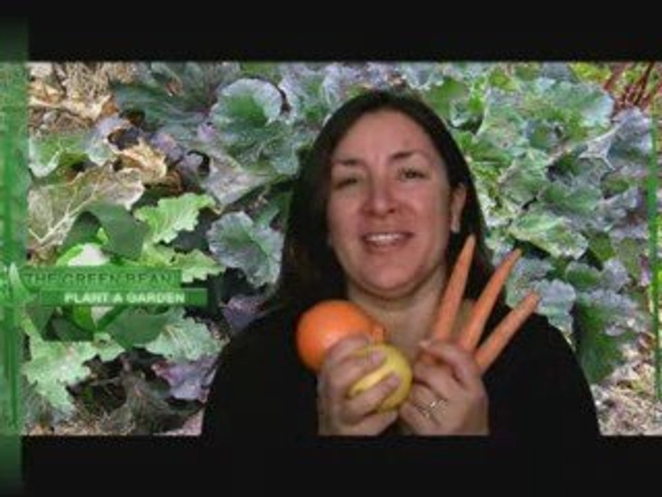 The Green Bean - myinboxnews.com