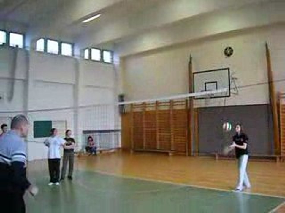 Volleyball 3 20090130