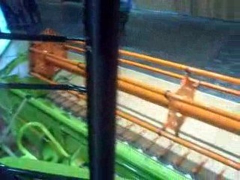 claas lexion 600 avec chenille