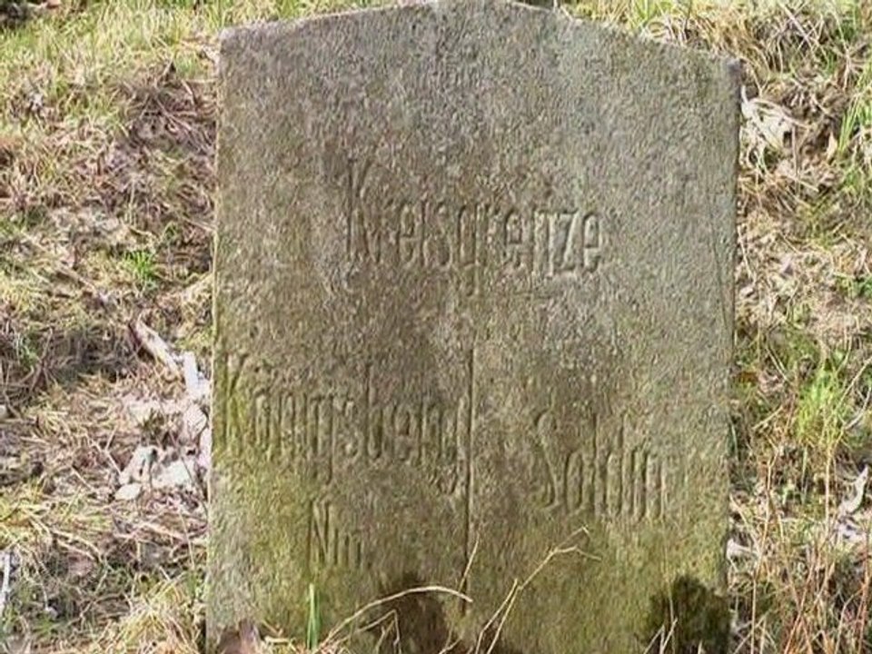 Pierwszy dzień wiosny - Video Panda Studio