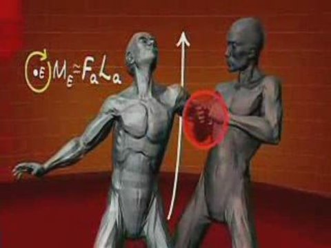 Human Weapon - Ninjutsu Techniques