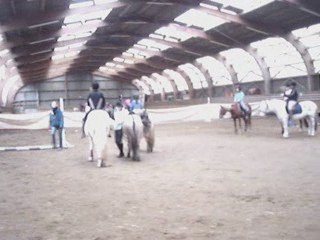 Chute de moi et patchi