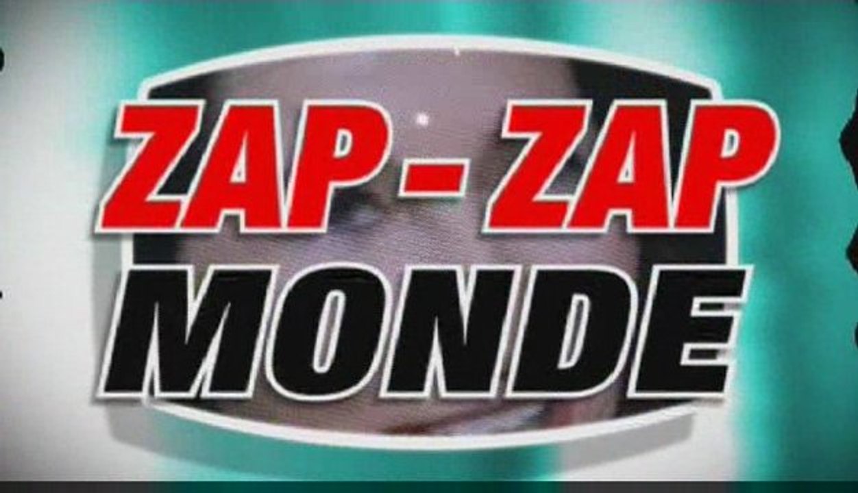 ZAP ZAP MANIF 19 MARS 2009