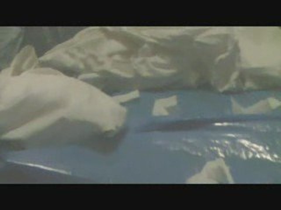 Little Big Adventure Movie old version (Relentlesss Swede)