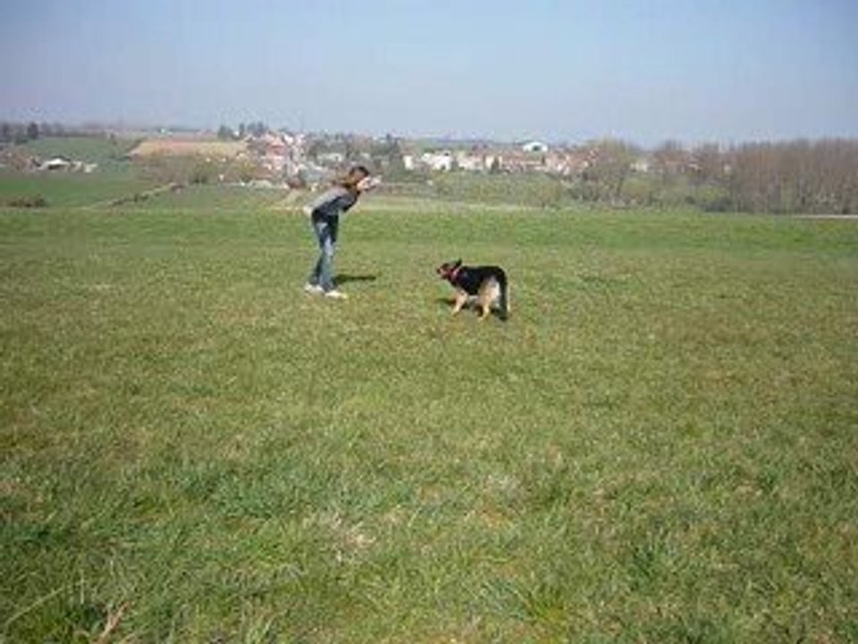 OBE-RYTHMEE :: MOVIE