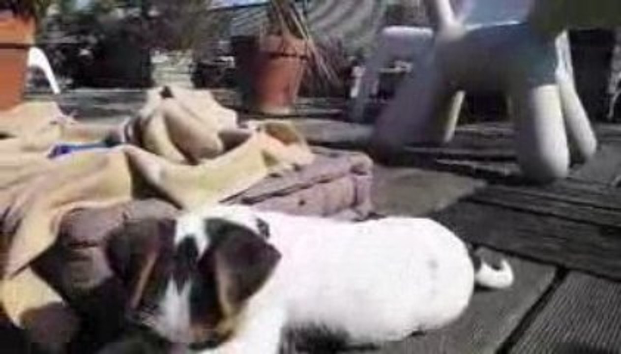 Jackette Emma joue sur sa terrasse