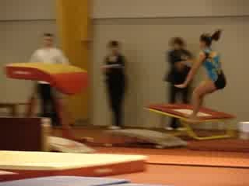 Saut titi
