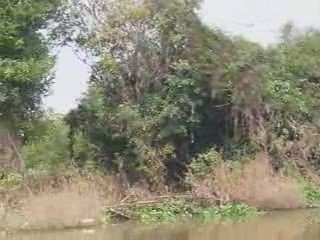 Descente de Siem Rep à Battambang