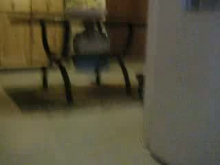 mon chien chéri edilo !!!!!