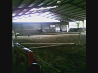 1m05 avec Lieutenant