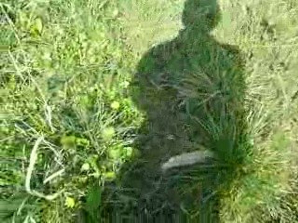 Jeanluc 6 fevrier 2009 048