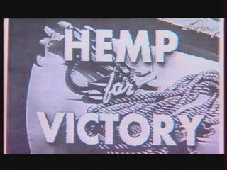 Reportage Arte - Le Chanvre une plante... 2/3