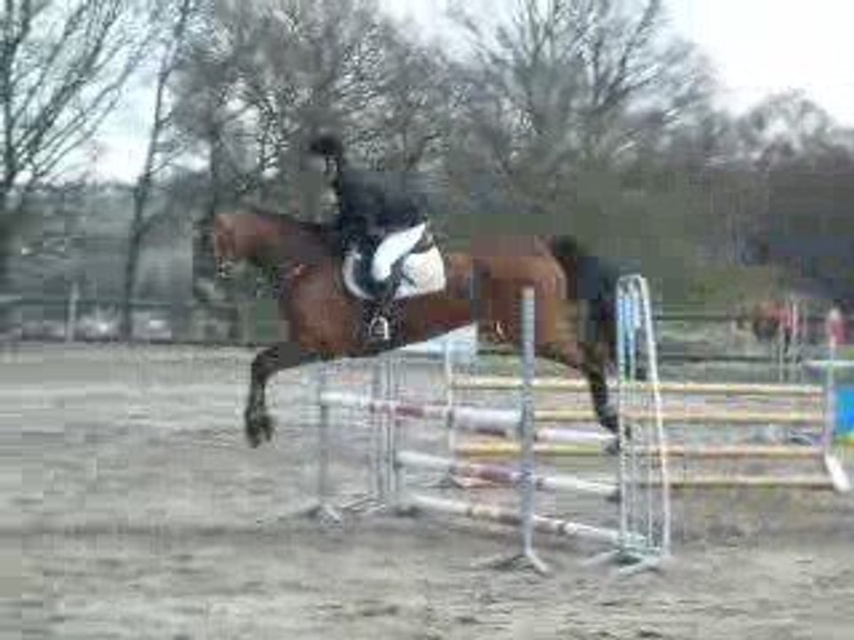 Concours de saut du 29 mars à la pierre