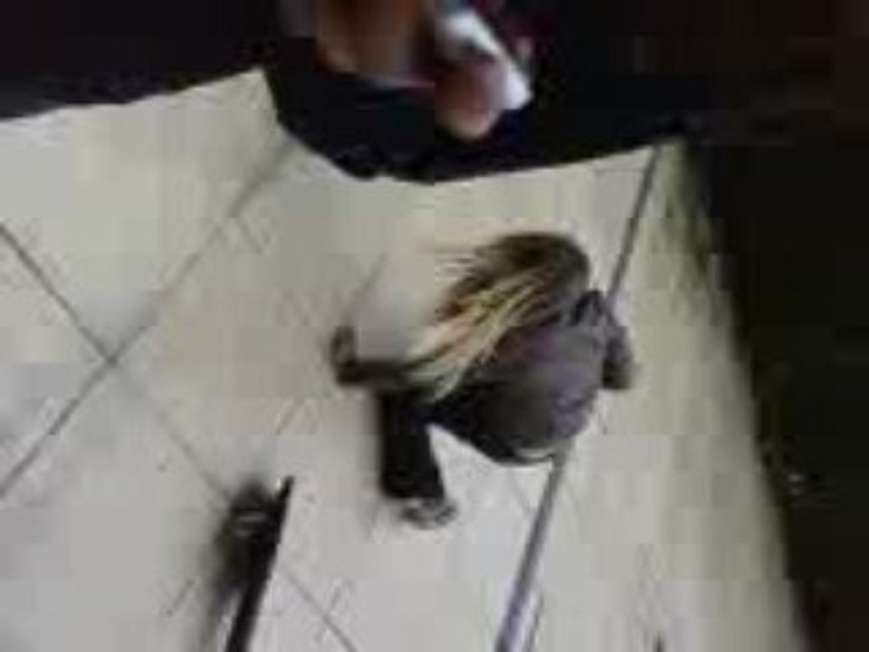 Vidéo0057