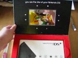 Nintendo's DSi celebration DSi/cake