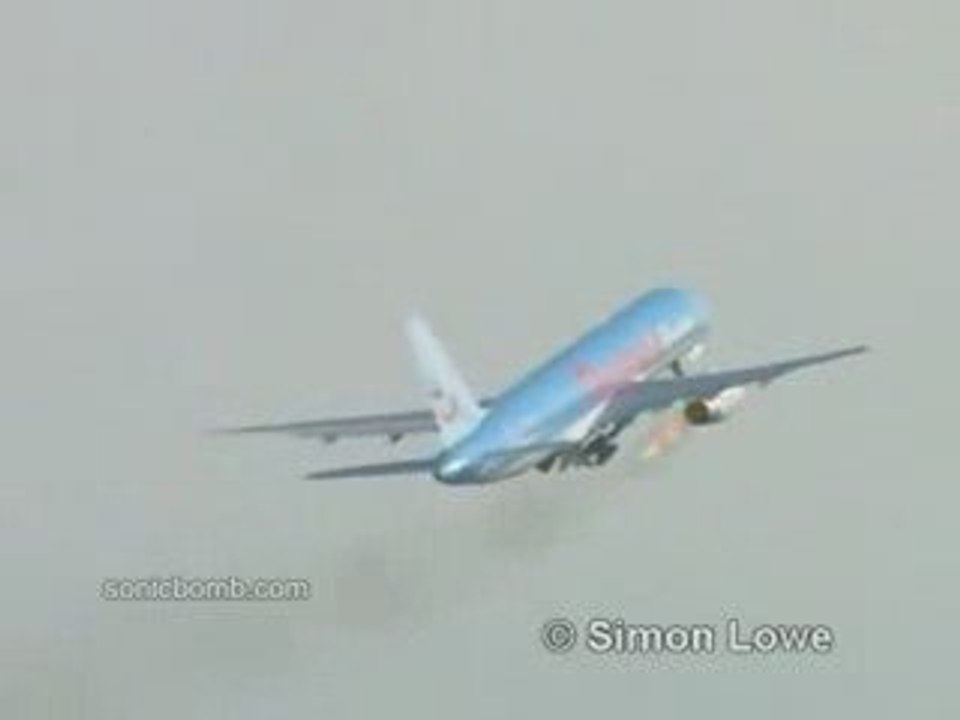 oiseau__avion__danger
