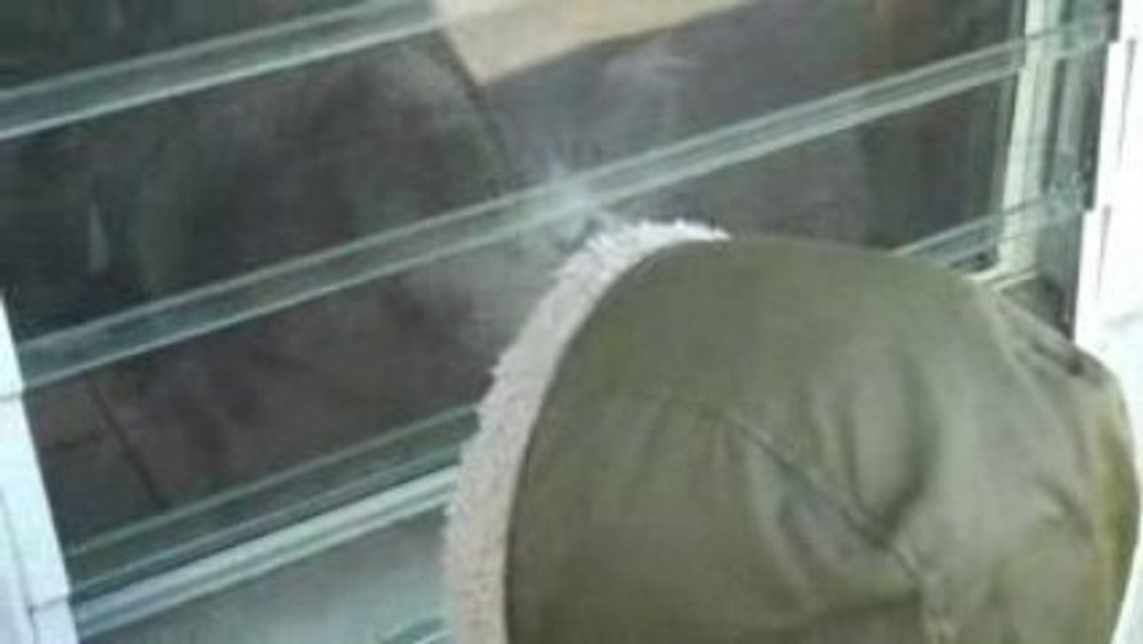 Jonathan playing in backyard