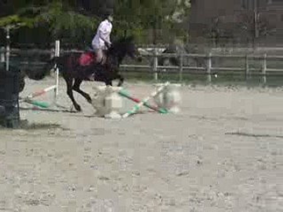 Obstacle 1ER AVRIL 1M15