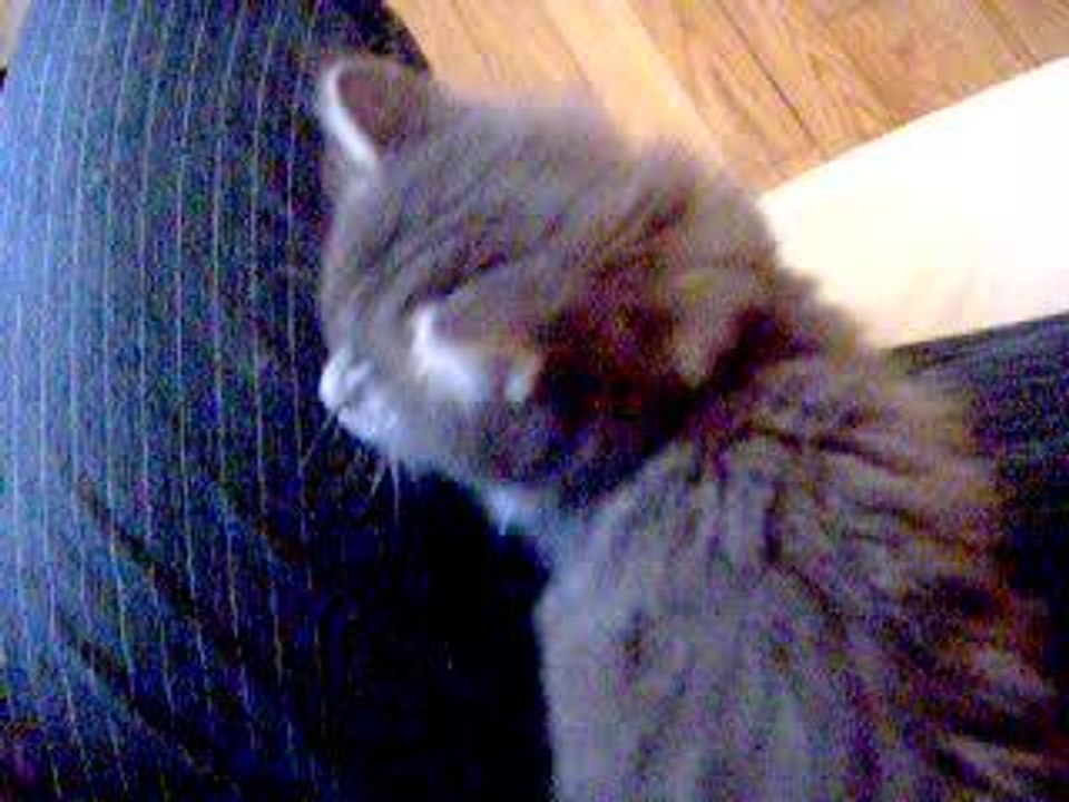 Le premiers exploits de Lilo