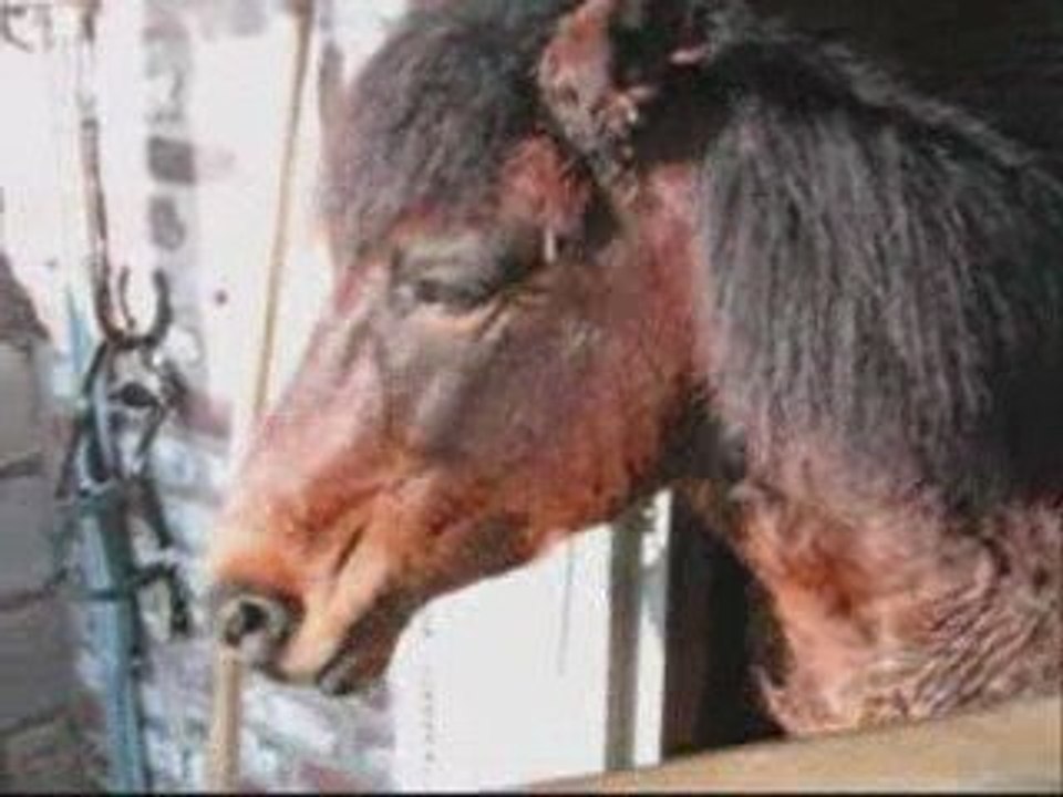 Gamin 30 mars & 1 Avril 2009