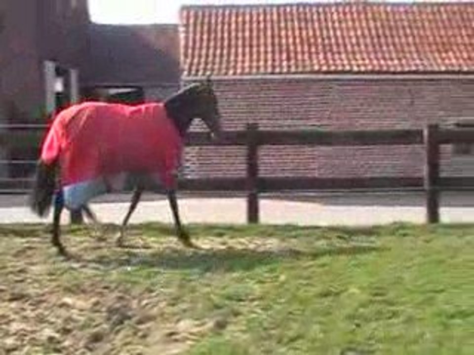 Herbes paddock 1e avril 200