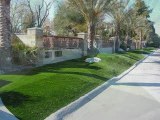 Las Vegas Synthetic Lawns Indoor Putting Greens Las Vegas NV