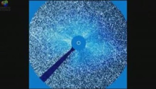 The Sun BBC 2006 Sunspots and Magnetic Fields.