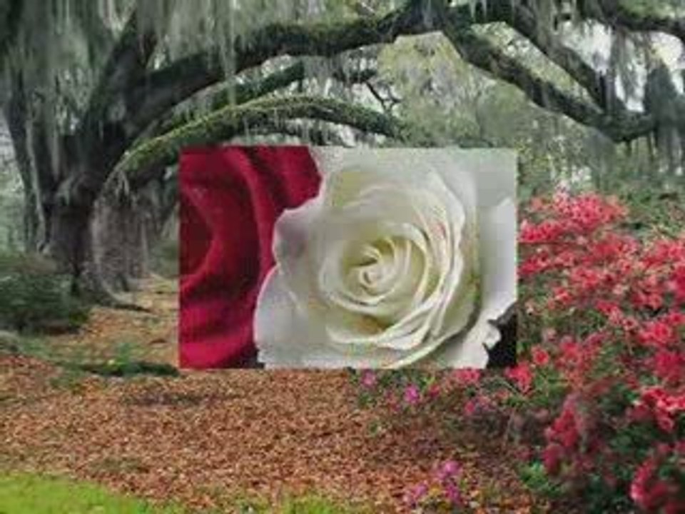 Selami Şahin - Özledim