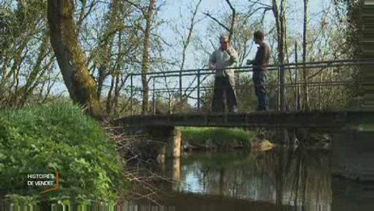 Histoires de Vendée : La bête d'Angles