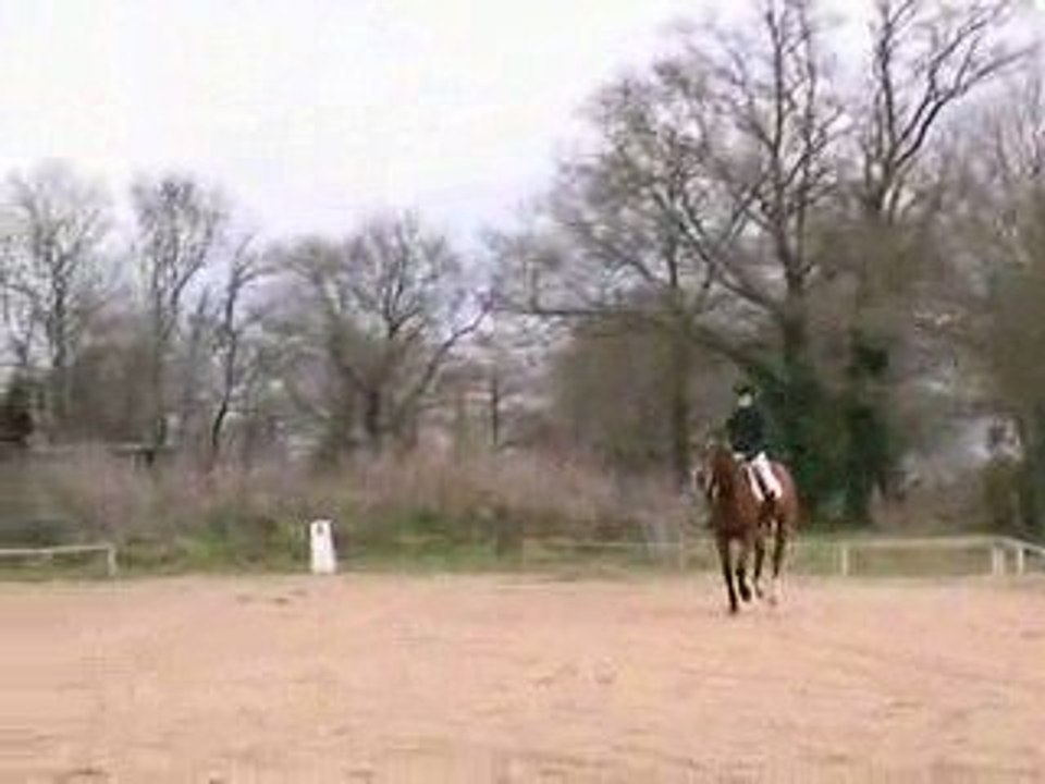 Reprise Club Elite dressage pur, la pirouette.