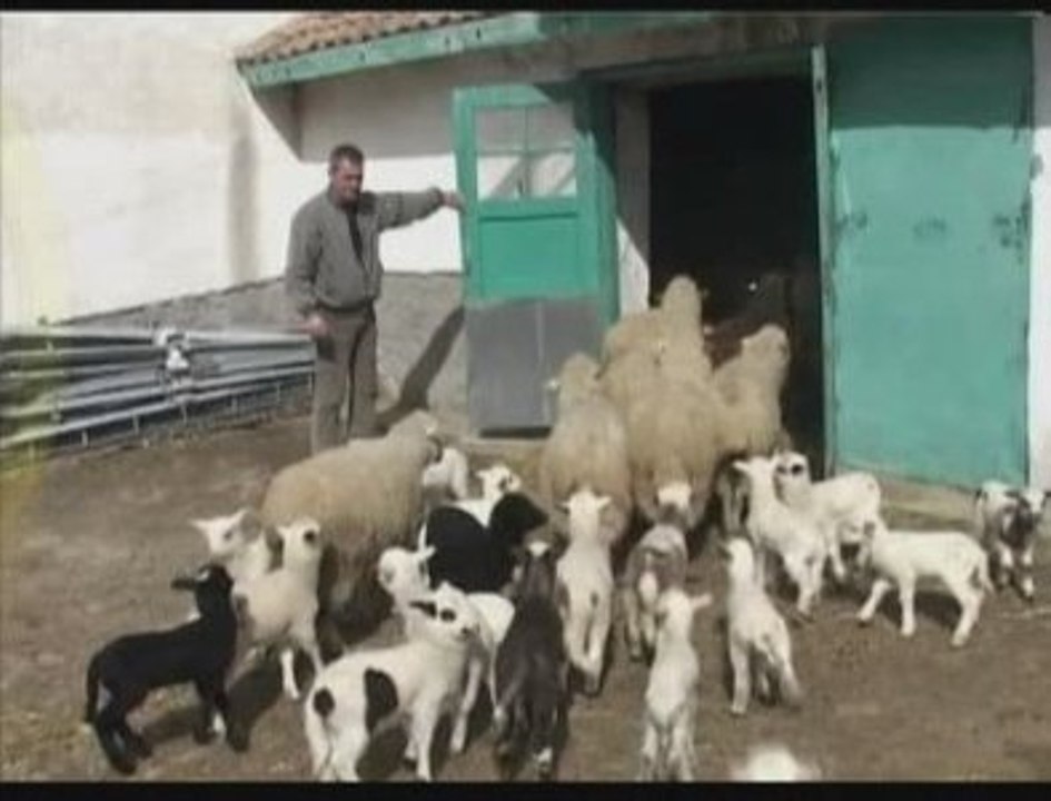 Bulgarian Farmers Protest