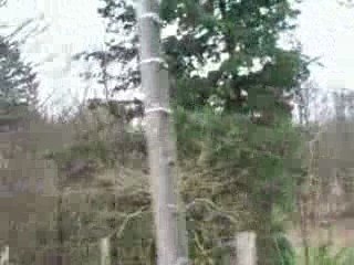 Signal de Beausoleil landes_3093