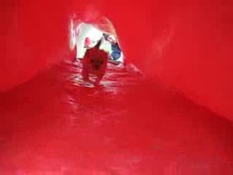 Dayla chihuahua agility chaussette 27 mars 09