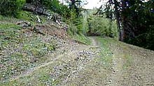 montana