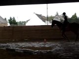 Moi au galop avec graffiti