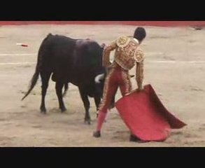 Corrida de feria de san jose 2009