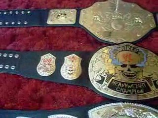My Wrestling Belts