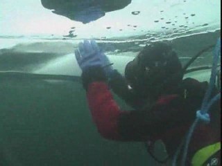 Plongee sous glace au Lac de Montriond