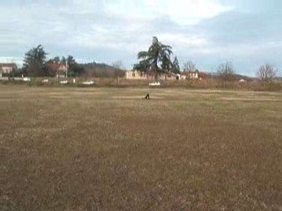 DSCF2267