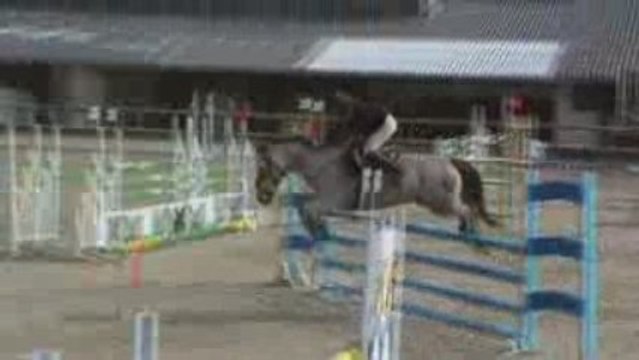 Inès et Ibis D1p Sées