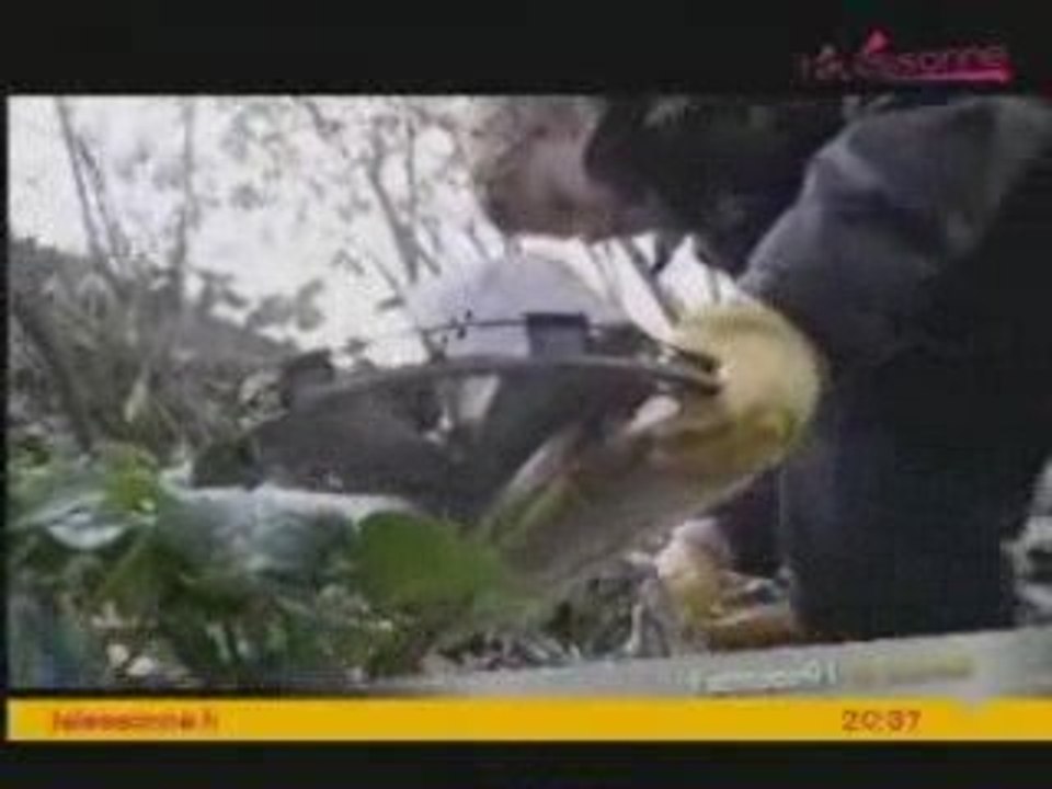 Telessonne - Nettoyage de printemps - 1er avril 2009