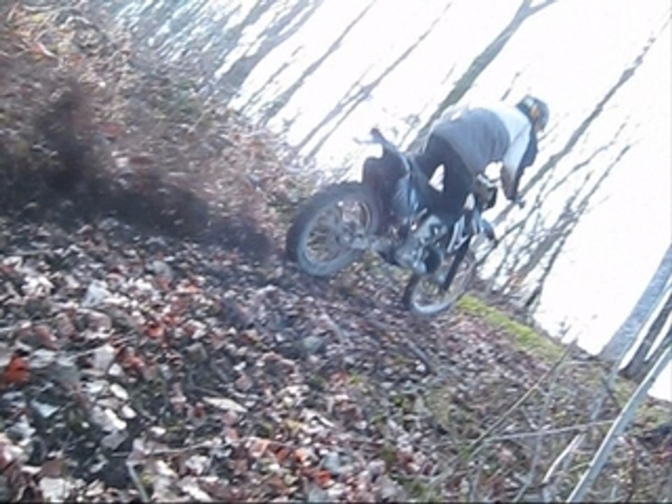 Les dombritiens en folie