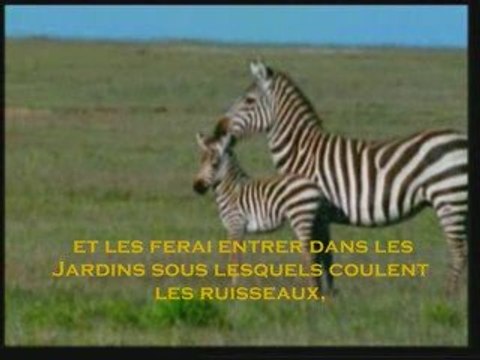 Sourate 3 Al Imran versets 190-200 subhanALLAH Afassi