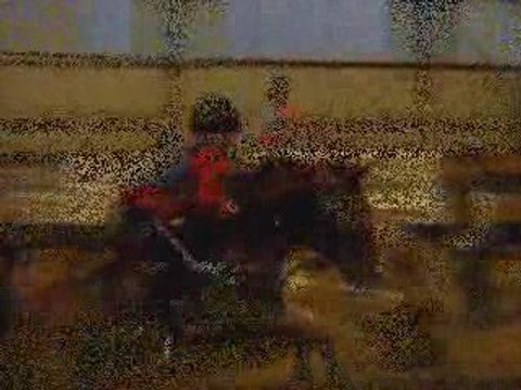 Petite séance d'obstacle avec Quokardo