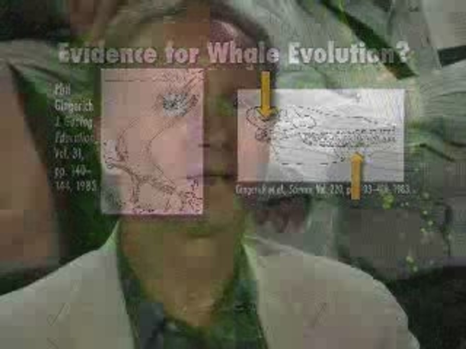Was Darwin Right?