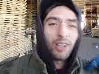 Le rap des sapins